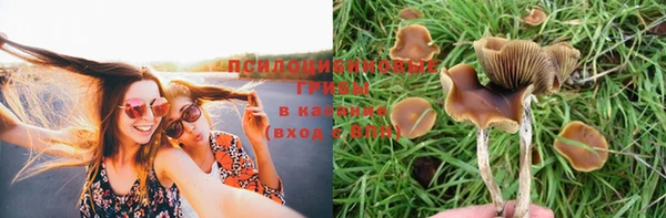 меф Армянск