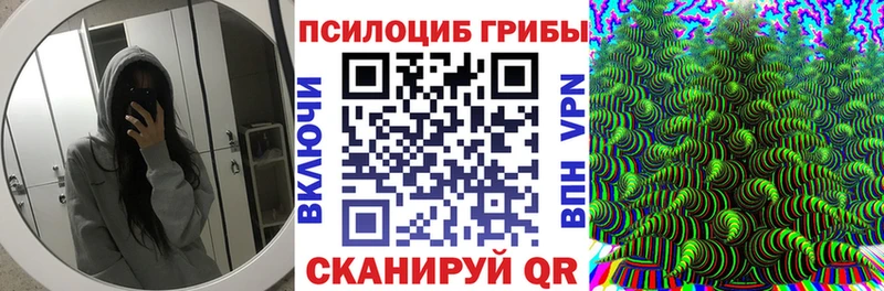 Псилоцибиновые грибы Magic Shrooms  Гудермес 